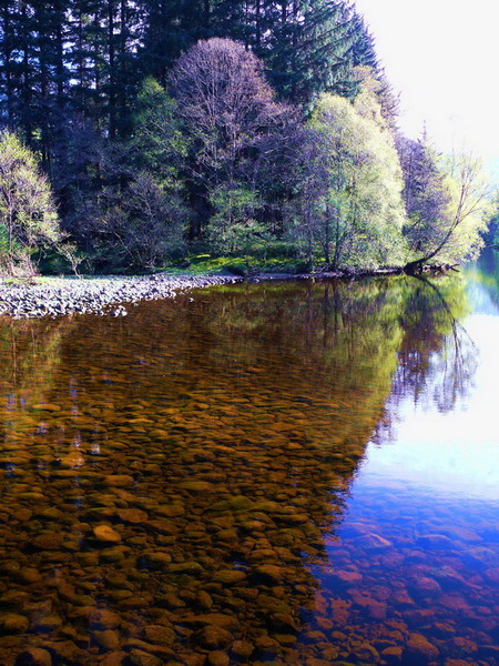 Rainbow Water